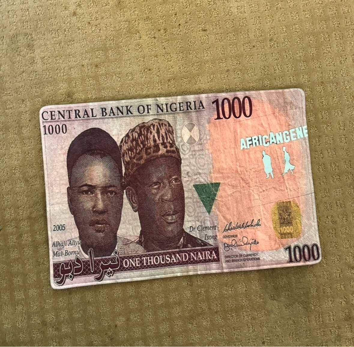 AFRICAN GENE Nigerian 1000 Naira Rug